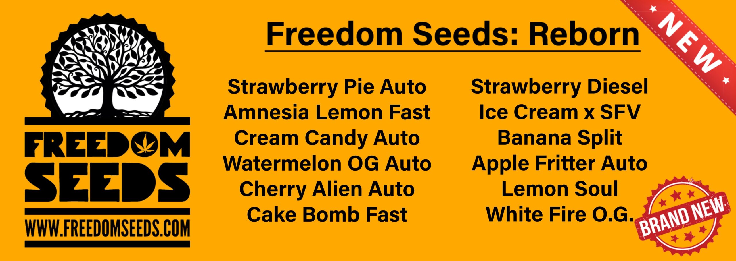 Freedom Seeds Reborn v2