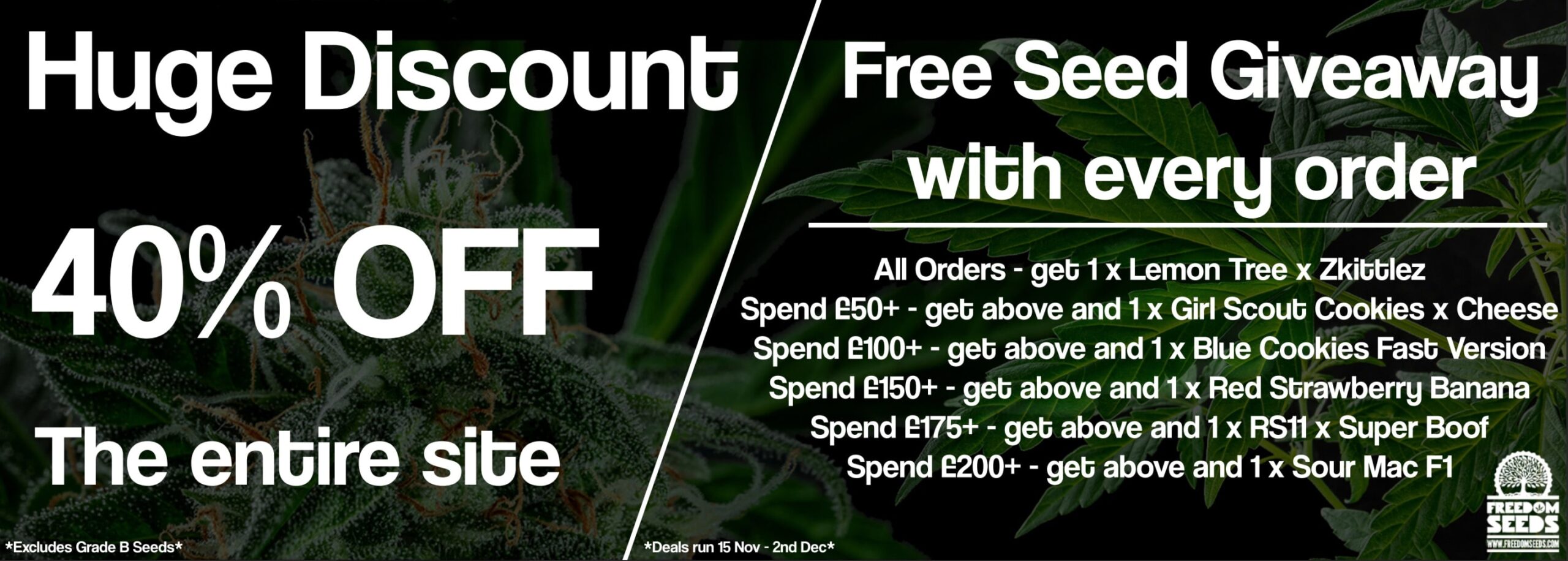 Freedom Seeds Black Friday